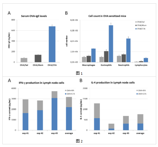 完全弗氏佐劑（CFA）