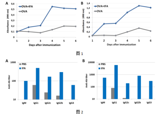 不完全弗氏佐劑（IFA）