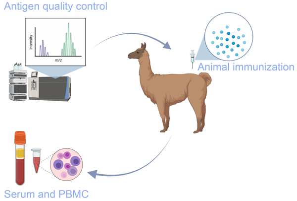動物免疫服務(wù)