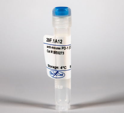 體內(nèi)抗小鼠PD-1（CD279）