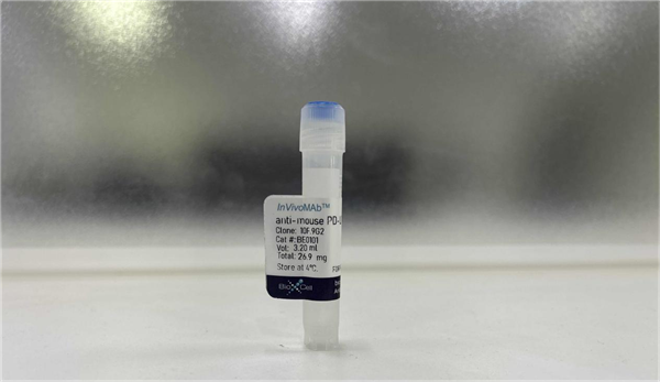 PD-L1體內(nèi)抗體