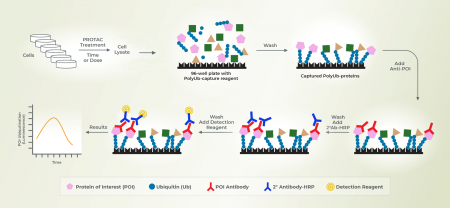 PROTAC檢測(cè)板試劑盒
