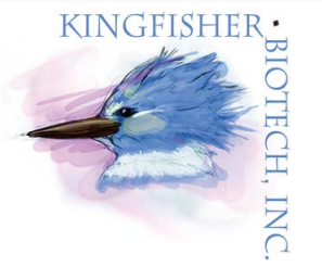 牛粒細胞-巨噬細胞集落刺激因子