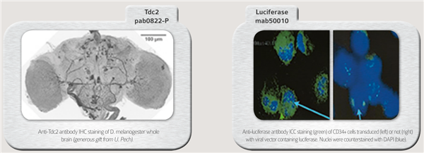 產(chǎn)品結(jié)果圖鑒賞