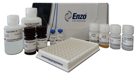 Grp78/BiP ELISA 試劑盒