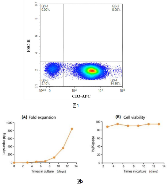 人T細胞激活磁珠，CD3/CD28單抗偶聯(lián)磁珠