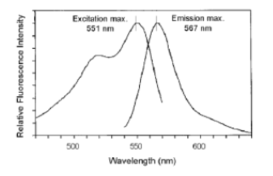 PKH26紅色熒光細(xì)胞鏈接試劑盒