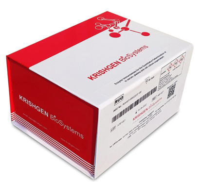 蛋白 L 配體檢測(cè)試劑盒 