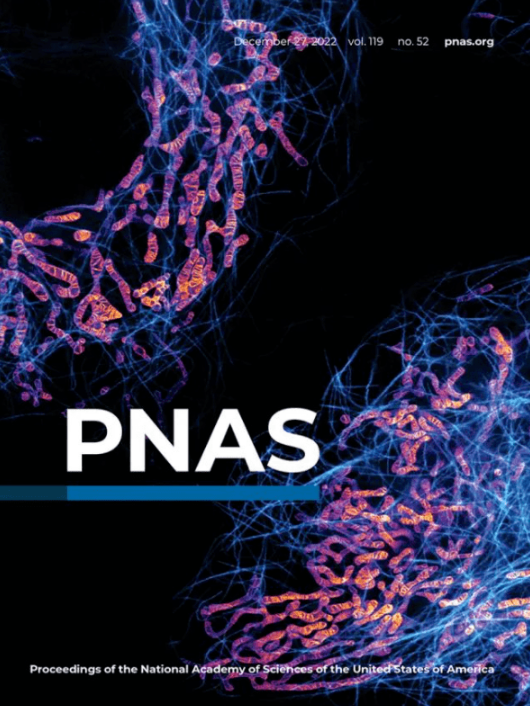 PNAS封面文章