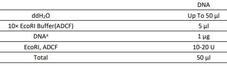 內(nèi)切酶EcoRI, 無動物源性