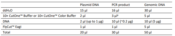 快速內(nèi)切酶EagI