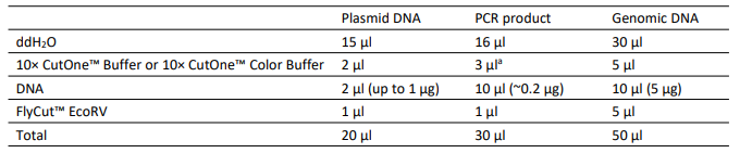 快速內(nèi)切酶EcoRV