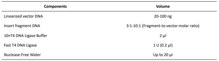 快速T4 DNA連接酶
