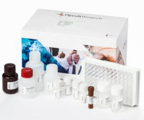 sTREM-1（人） ELISA試劑盒