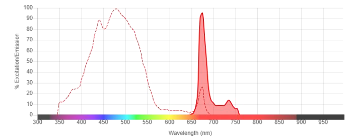 PerCP [多甲藻黃素-葉綠素-蛋白質(zhì)復(fù)合物]