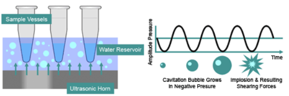 DNA樣品的超聲能量