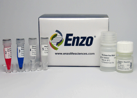 CYTAG CGH貼標試劑盒