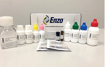 多重 IHC 試劑盒