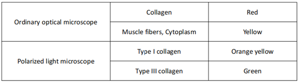 天狼星紅染色液