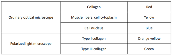 天狼星紅染色試劑盒