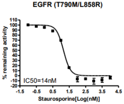 EGFR（T790M/L858R）激酶檢測試劑盒