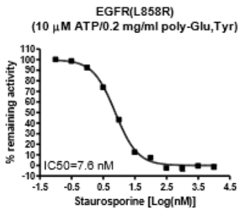 EGFR(L858R)激酶檢測試劑盒