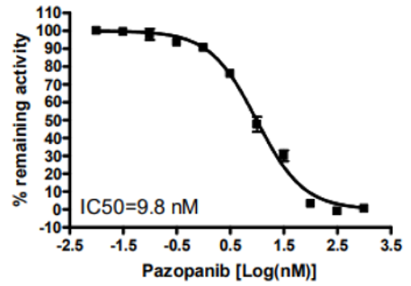 VEGFR2（KDR）激酶檢測試劑盒