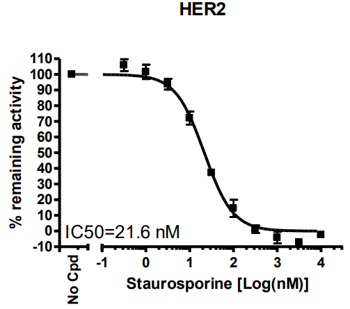 HER2激酶檢測(cè)試劑盒
