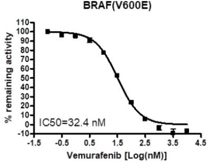BRAF（V600E）激酶檢測試劑盒