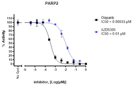 PARP2化學(xué)發(fā)光檢測試劑盒