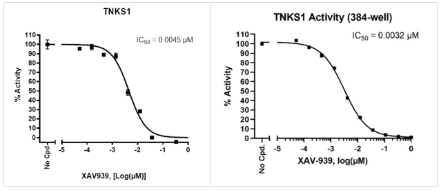 TNKS1（PARP5A）化學(xué)發(fā)光檢測試劑盒