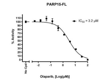 PARP15-FL化學(xué)發(fā)光檢測試劑盒