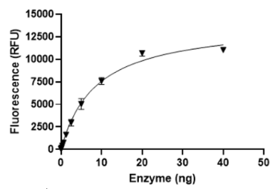 多聚ADP核糖水解酶（PARG）重組蛋白