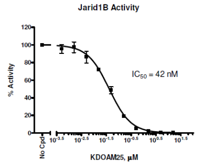 JARID1B (KDM5B) 化學(xué)發(fā)光檢測(cè)試劑盒