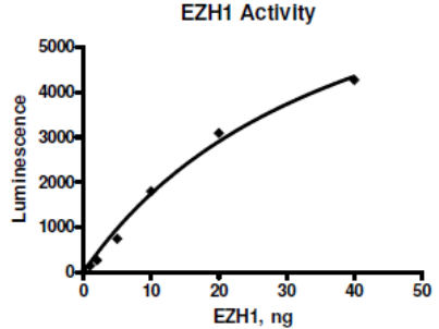 EZH1化學(xué)發(fā)光檢測試劑盒