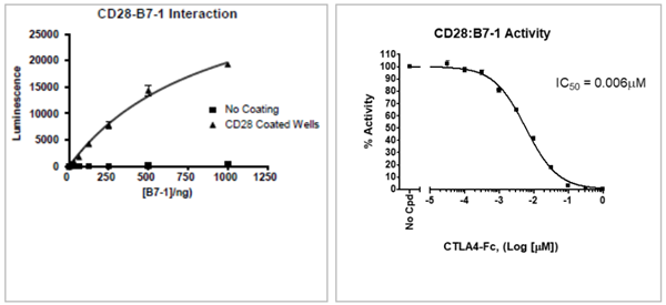 CD28:B7-1[生物素化]抑制劑篩選檢測試劑盒