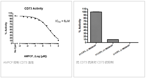 CD73 抑制劑篩選檢測(cè)試劑盒