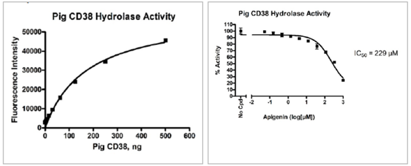 CD38(豬)含氟測定試劑盒(水解酶活性)