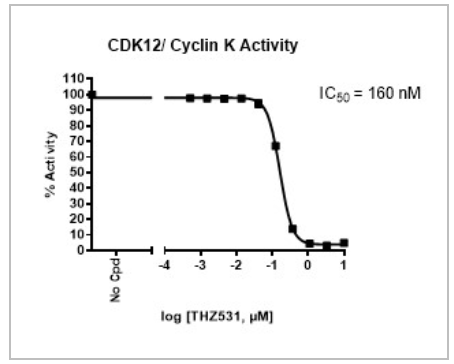 CDK12/細(xì)胞周期蛋白K激酶檢測(cè)試劑盒