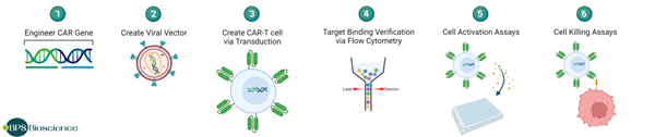 CAR-T-1.png