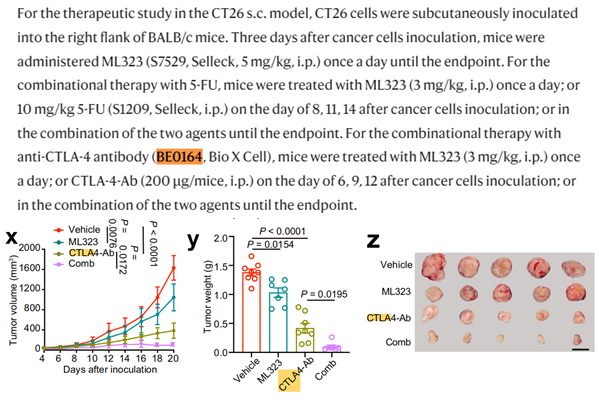 CTLA-4 (CD152)小鼠體內(nèi)抗體