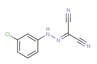 cccp溶液(細(xì)胞凋亡誘導(dǎo)劑)