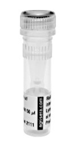 黃曲霉毒素B1單克隆抗體