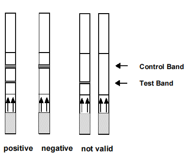 Milenia HybriDetect-3.png