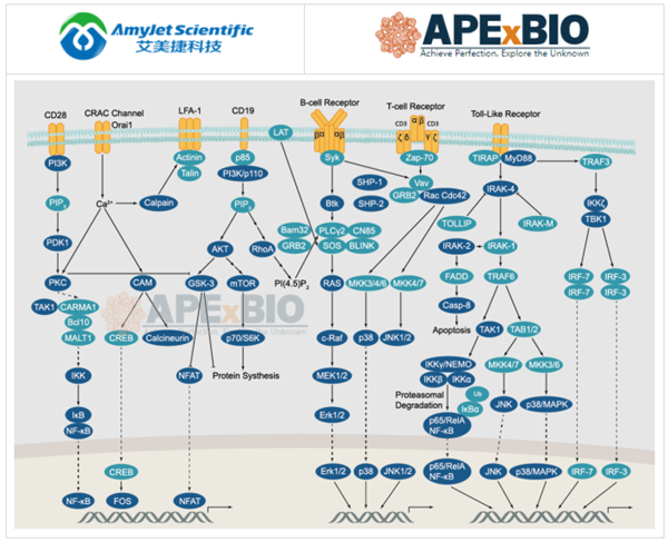 免疫學(xué)/炎癥熱門