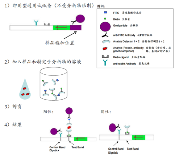 HybriDetect試紙條