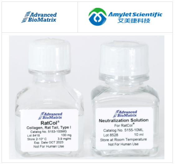 RatCol 膠原蛋白溶液