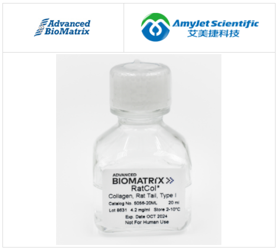 鼠尾膠原蛋白溶液,I 型,4 mg/ml,20 mL(2D 細(xì)胞培養(yǎng))