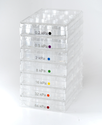 CytoSoft 6孔板，彈性模量32 kPa
