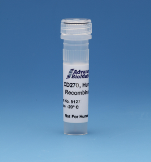 CD270，人，重組